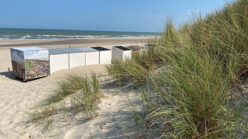 Strandhotel Dennenbos Oostkapelle Zewnętrze zdjęcie